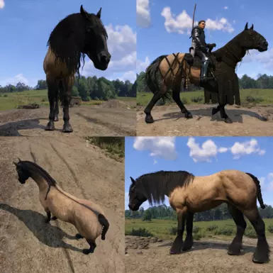 Buckskin