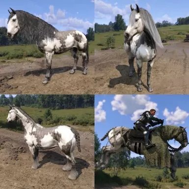 Paint - Grey/White