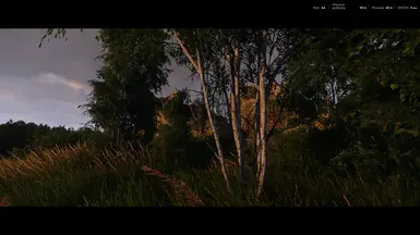 RESHADE OFF