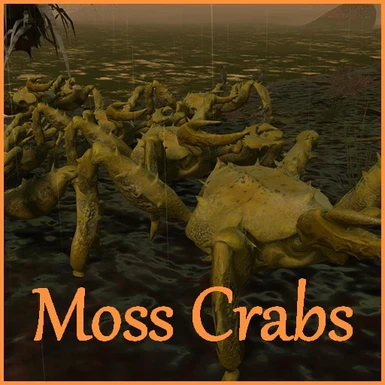 Moss Crabs
