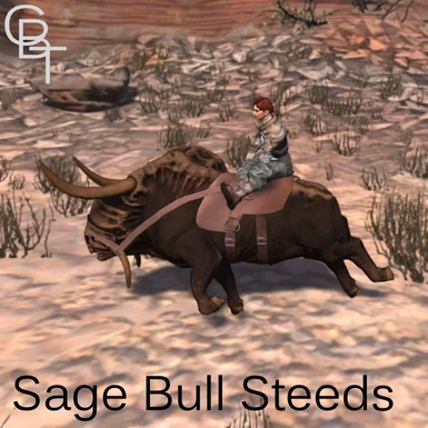 Rideable Bull Race