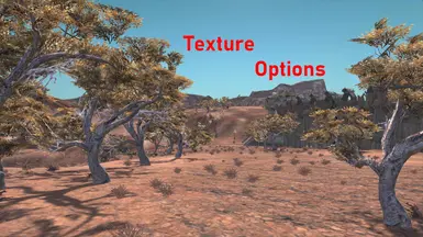 Texture Options