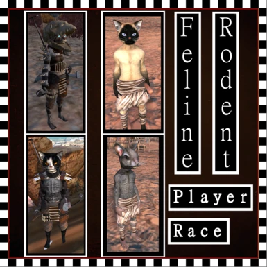 Feline and Rodent Player Races