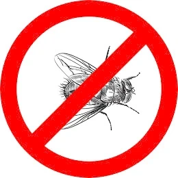 No More Flies Buzzing