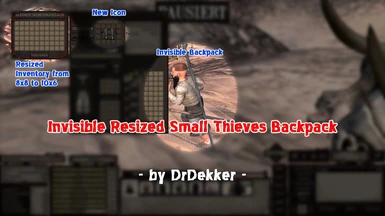 Invisible Resized Small Thieves Backpack