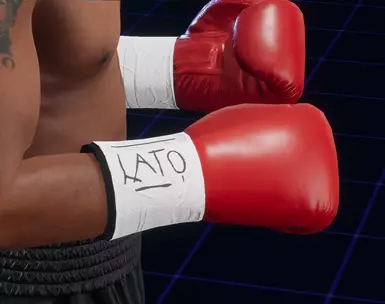 Gloves for Mike Tyson 1995