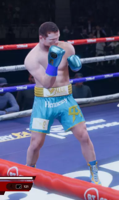Canelo Alvarez IRL Gear