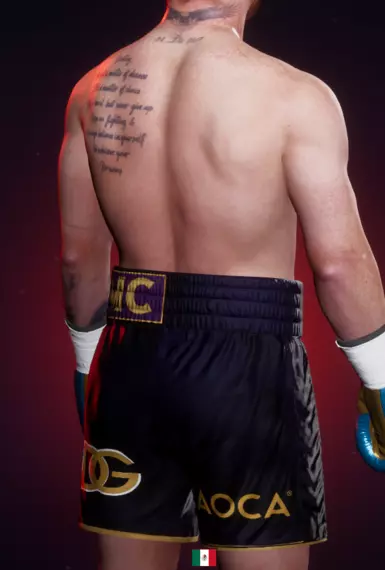 Canelo Vs Charlo Canelo's Gear