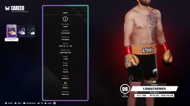 (Gloves) Vasyl Lomachenko Gloves Slot Replace