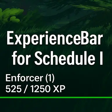 ExperienceBar