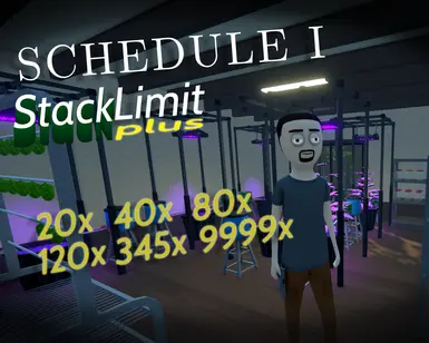 Item StackLimit Plus