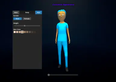During Customization