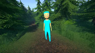 Before Customization