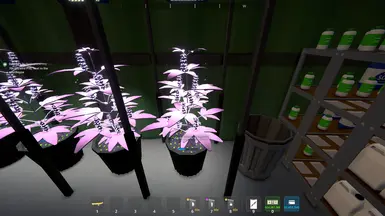 Plants Always Grow
