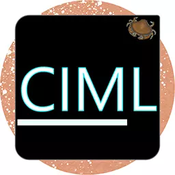 ModLoader-CSFF