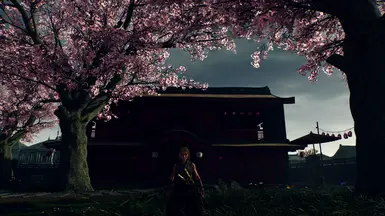 RISES reshade + in-game weather event