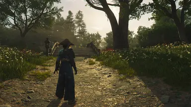 Vanilla game