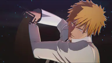 Ichigo Captain