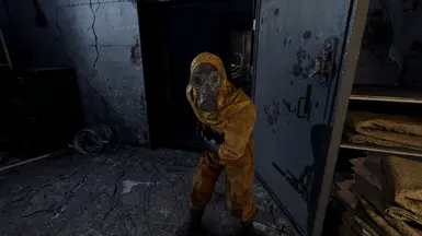 Real Life ATOMFALL Reshade ON