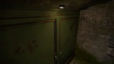 Real Life ATOMFALL Reshade OFF