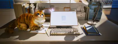 Orange Lobby Cat