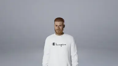 Champions Sweater