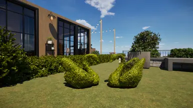 Swan Bush