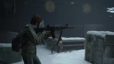 Ellie with the Assault Rifle in Jackson