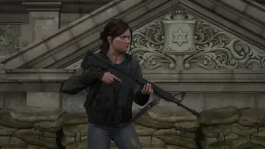Ellie with the Assault Rifle in Seattle Day 1