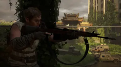 M14 Variant