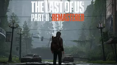 The Last of Us Part II - Play as Joel