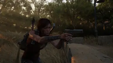 Pistol Replacers
