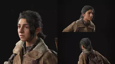 Dina's Farm Hair (1.4)