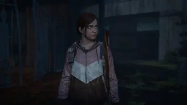 Optional Ponytail