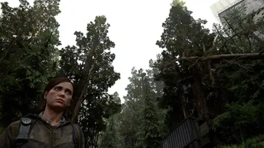 on