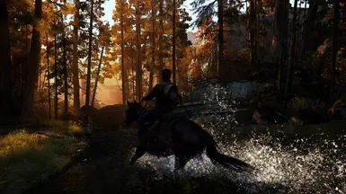 Reshade
