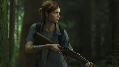 Complete Story and No Return Mode