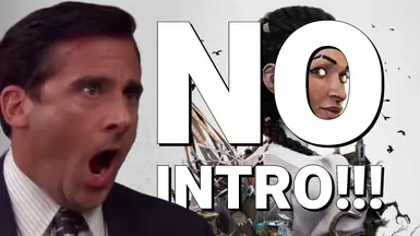 No-Intro (Skip Startup - Splash Videos)