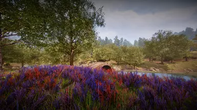 RESHADE