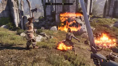 Improved Elemental Shield Effect