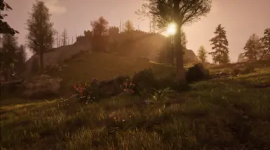 Before (v1.3)