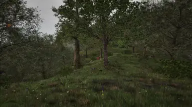 Before (v1.3)
