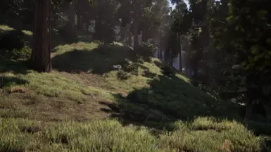 Color Correction OFF (v2.0)