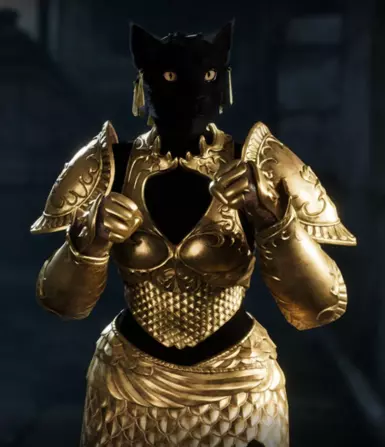 Armor Example (Saints Armor Not Included)