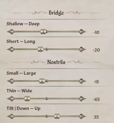 Shape - Nose - Bridge &amp; Nostrils