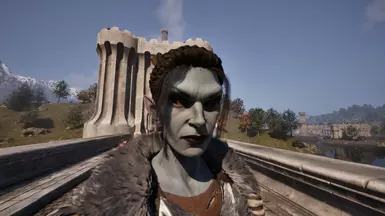 Without the customized Dunmer head