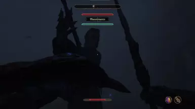 Only uses his dagger when underwater. Also touch spells