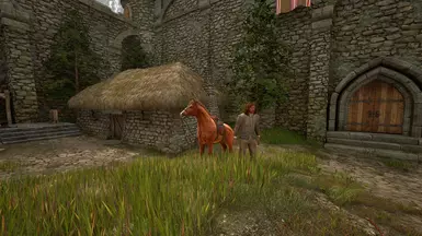 Travel NPC at Battlehorn to Chorrol