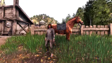 Stables NPC