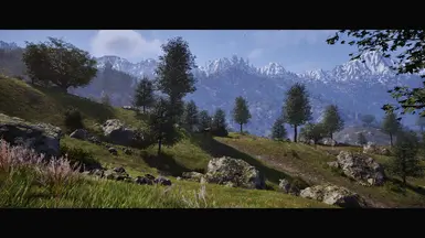 Reshade on